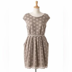 Alex Evenings Petite Taupe Lace Dress Size 12P Elegant Cap Sleeve